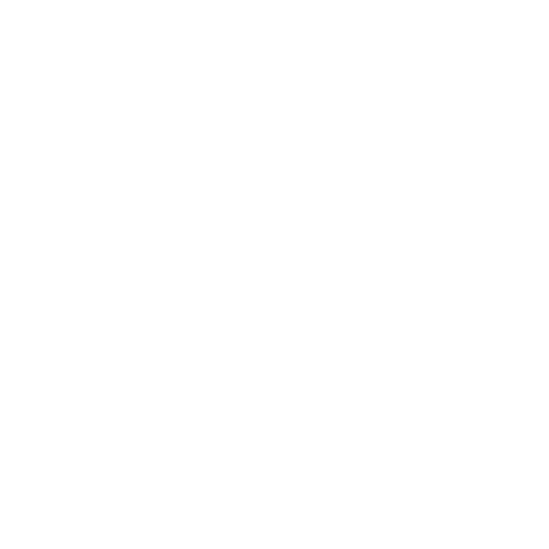 MRS Art